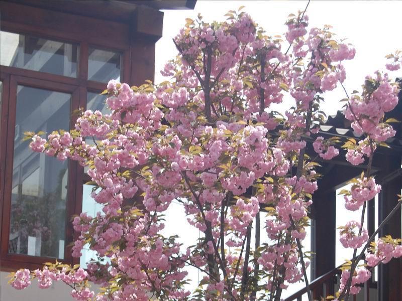 Jingshan Garden Hotel Pechino Esterno foto
